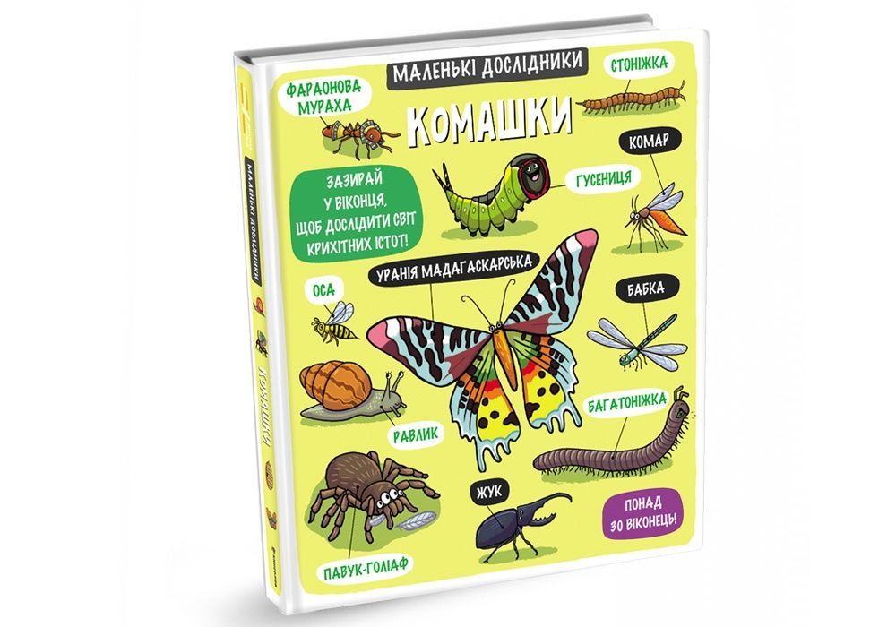 Обкладинка Маленькі дослідники: Комашки