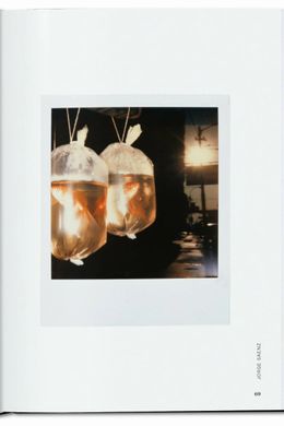 The Polaroid Book, Barbara Hitchcock