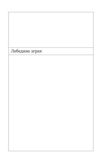 Лебедина зграя, Василь Земляк