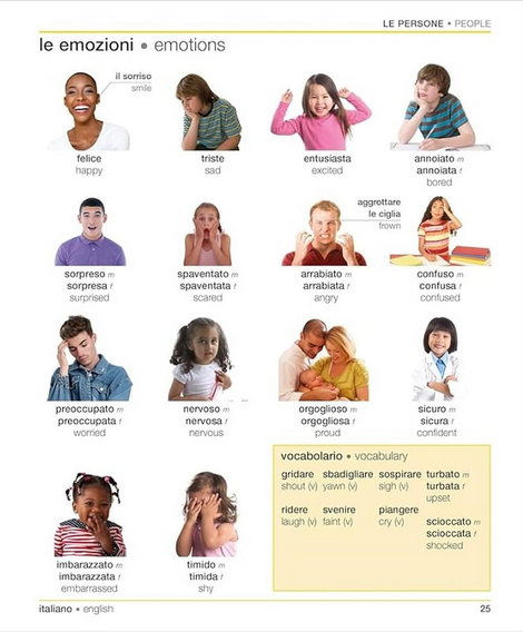 Italian-English Bilingual Visual Dictionary