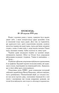 «Вирівнювання» Збруча. Меч Германаріха : роман-хроніка. Книга 3