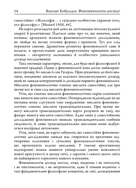 Феноменологія досвіду, Вахтанґ Кебуладзе