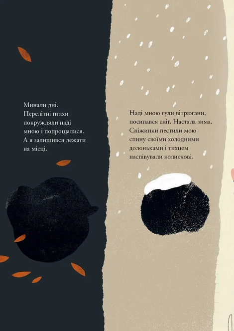 Камінчик. Марюс Марцінкявічюс, Марюс Марцінкявічюс