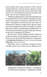 Рослини-прибульці - 13