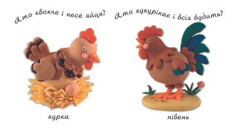 Ферма, Емілі Бомон, Наталі Беліно