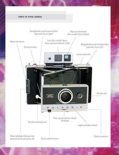Polaroid: The Missing Manual. Ріаннон Адам