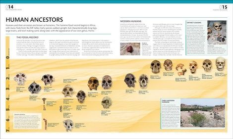 The Definitive Visual Guide: Complete Human Body (new ed.), Dr Alice Roberts
