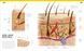 The Definitive Visual Guide: Complete Human Body (new ed.) - 2