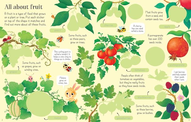 First Sticker Book: Fruit & Vegetables, Hannah Watson