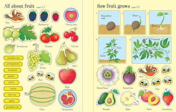 First Sticker Book: Fruit & Vegetables, Hannah Watson