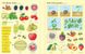 First Sticker Book: Fruit & Vegetables - 2