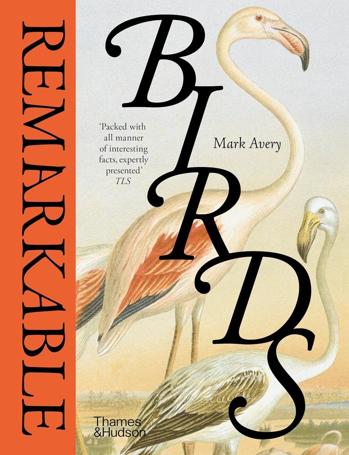 Обкладинка Remarkable Birds