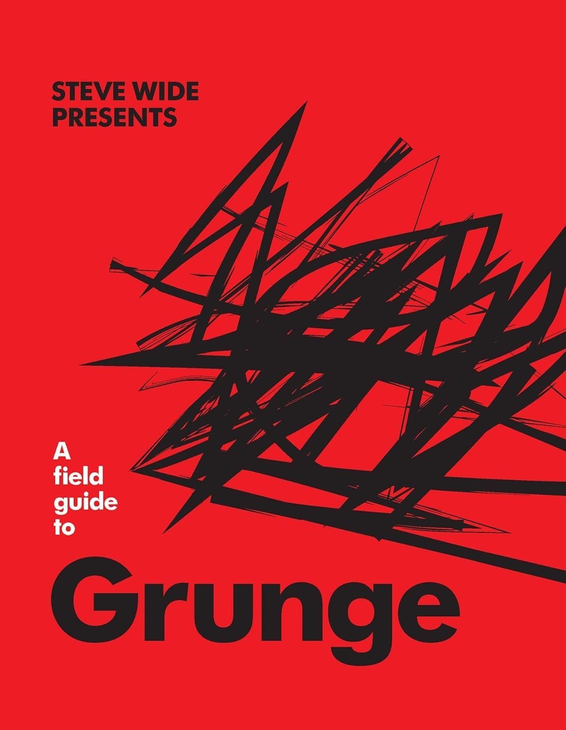 Обкладинка A Field Guide to Grunge