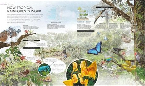 Habitats. DK