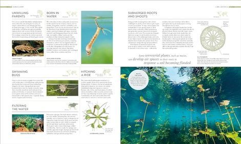 Habitats. DK