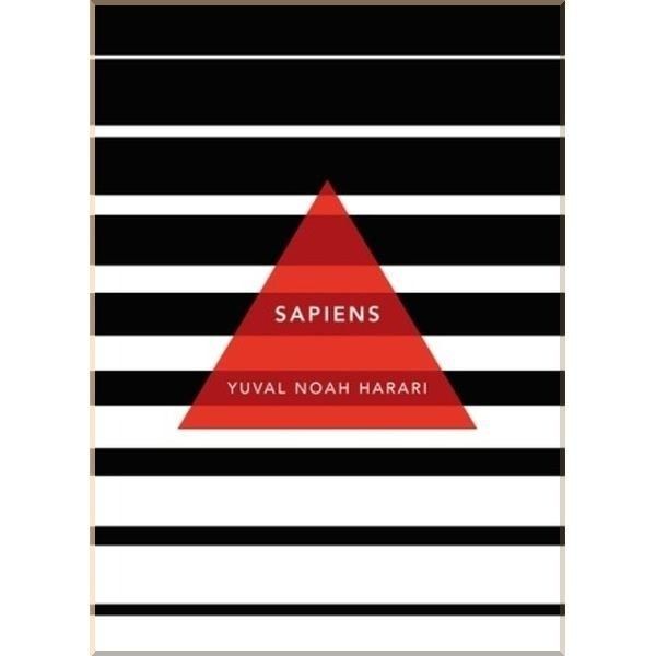 Обкладинка Sapiens. A Brief History of Humankind