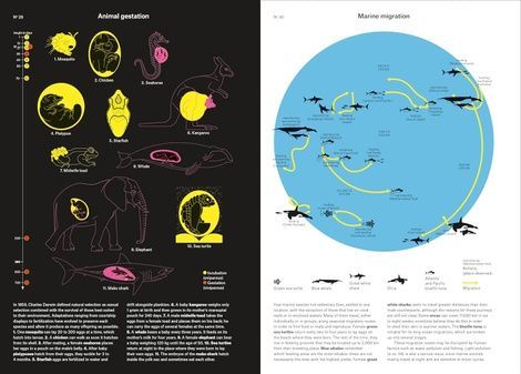 Phenomena: An Infographic Guide to Almost Everything. Camille Juzeau