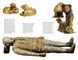 The Great Empires of the Ancient World. Томас Гаррісон
