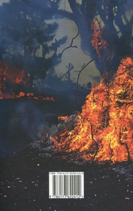 &laquo;Україна в огні&raquo;. Війна 2022 крізь призму Довженка. 100 днів протистояння, Людмила Тарнашинська