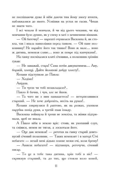 Пригоди молодого лицаря, Спиридон Черкасенко