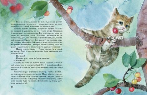 Коти. Такі, як ти, Марія Козиренко