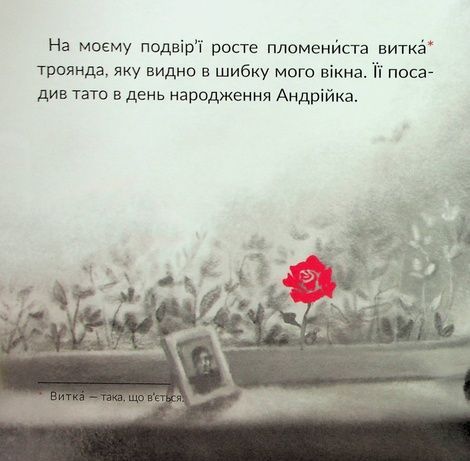 Місто на вікні, Тетяна Винник