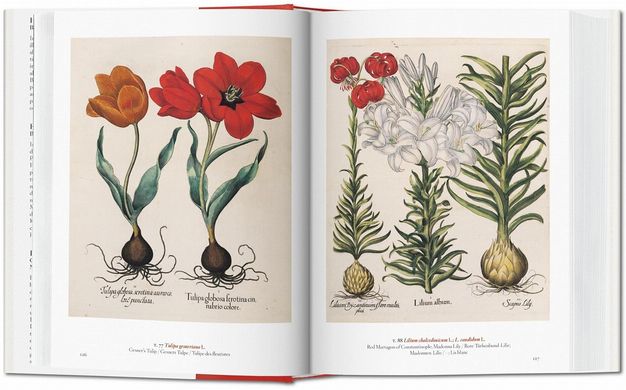 A Garden Eden. Masterpieces of Botanical Illustration (40th Ed.)