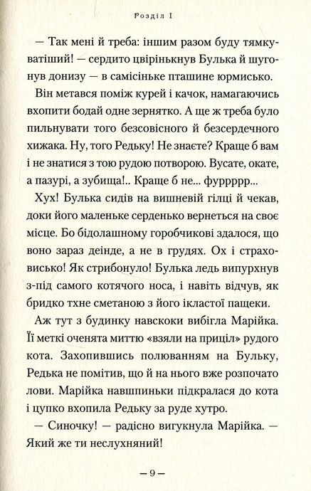 Мері, Сашко Дерманський