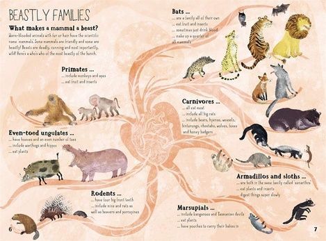 The Big Book of Beasts, Yuval Zommer