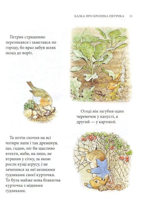 Кролик Петрик та інші історії, Беатрікс Поттер