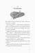 Останниця. Книга 1. Одна на світі - 5