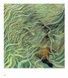 Archaeology of Metaphor. Donna Stein