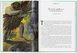 Greek Myths. Tales of Troy & Odysseus - 2